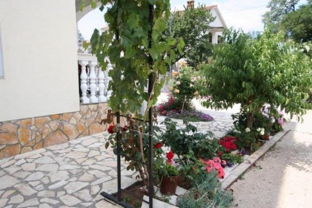 Znidarec Apartman